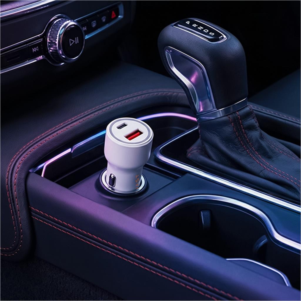 Swiss Cougar Leeds Fast Charge Car Charger