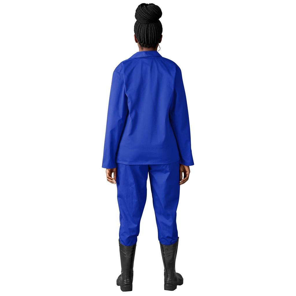 Budget Conti Suit